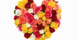 Flower Color Meanings & Symbolism