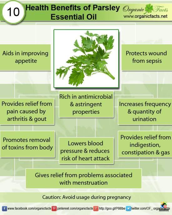 Health Benefits of Parsley