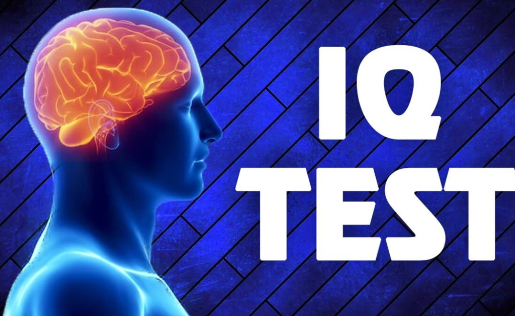 online iq test