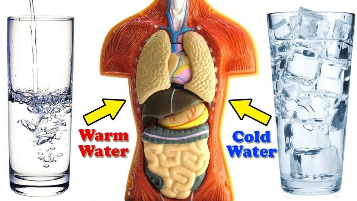 What Are the Benefits of Drinking Cold Water?