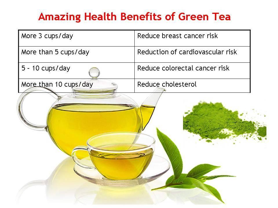 What Are the Benefits of Drinking Green Tea?