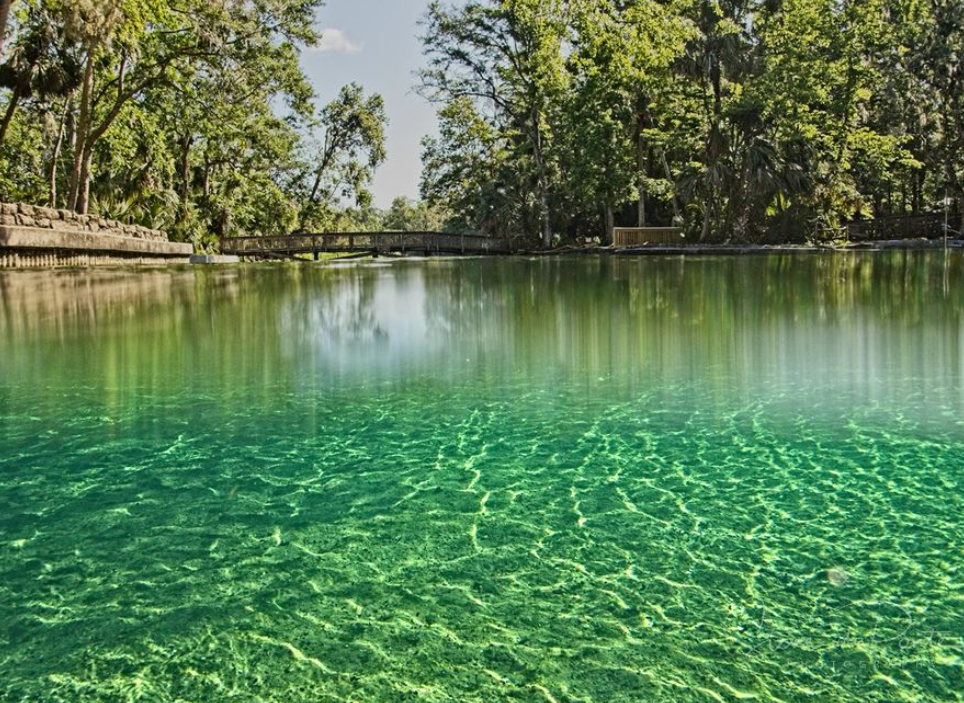 The Most Beautiful Natural Springs in Florida