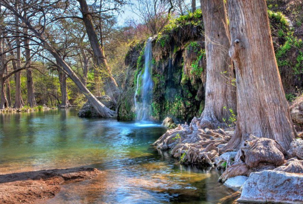 The Most Beautiful Natural Springs in Florida