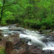 The Most Beautiful Natural Springs in Florida