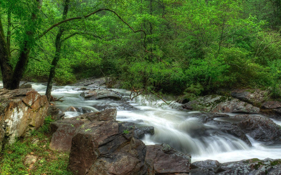 The Most Beautiful Natural Springs in Florida